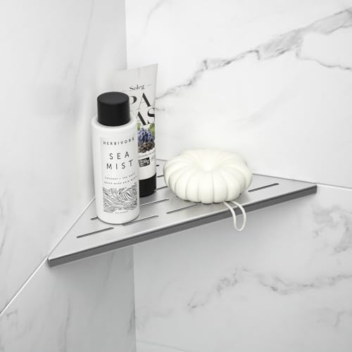 Bernkot Eck Étagère de douche en acier inoxydable 304 Étagère de salle de bain en acier pour murs carrelés, étagère encastrée pour la rénovation de salle de bain (brossé, 254 mm)