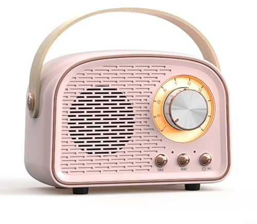 PETSTIBLE Mini-Bluetooth-Lautsprecher mit FM-Radio, Retro-Radio, Bluetooth-Lautsprecher, wiederaufladbar, Bluetooth 5.0, unterstützt USB/TF/AUX/Freisprecheinrichtung (Rosa), 2450048827