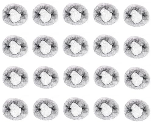 Haarnetz für Damen, Tanzhaarnetz für Dutt, einzeln verpackt, unsichtbares Haarnetz, elastisches Netz, Haarnetz, 20 Stück