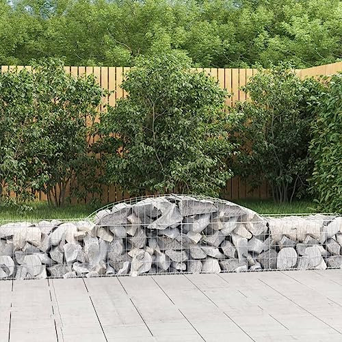 Vasi per Piante da Esterno Cassette per la Coltivazione di Fiori Cesto Gabbione ad Arco 300x50x40/60 cm Ferro Zincato Adatta per Corridoi, Giardini, Parchi, Balconi