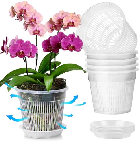 T4U 16cm Large Orchid Pots, Clear Plant Pots Indoor with Saucer, 6 Pack | Plastic Flower Pot with Slotted Drainage Holes for Repotting, House Plant Pots Indoor, Orchid Planter for Visible Root Health