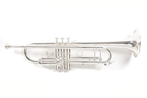Roy Benson Bb-Trompete TR-403S (Premium Messing-Konstruktion - erweitertes Schallstück - dunkler Klangcharakter - inkl. leichtem Rechtecketui - mit Rucksackgarnitur), versilbert