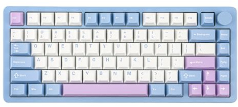 MechLands Clavier de jeu mécanique sans fil en aluminium Gasket Creamy BT5.0/2.4GHz/USB-C Hot Swappable RVB NKRO pour Win/Mac/Games/Office (Bleu)