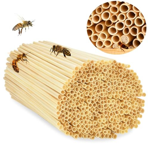 500 Tubi di Nidificazione, Rifugio per Insetti, Materiale di Riempimento per Api Selvatiche, 20cm Cannucce Naturali per Hotel Insetti, Hotel delle Api Selvatiche, Casetta per Api Selvatiche