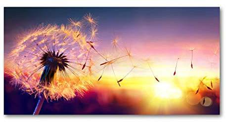 Tulup Leinwandbild - Wandkunst - Drucke auf Leinwand - Leinwanddruck -100x50 cm - Blumen & Pflanzen - Mehrfarbig - Pusteblume