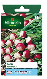 Sachet graines Radis national 2