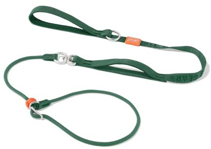 Howgo Schlupfleine für Hunde mit Doppelgriffen, 360° drehbar, verwicklungsfrei, robuste Leine und Halsband für alle Rassen, zum Spazierengehen ohne Ziehen(Grün,1.6 M)