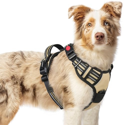 rabbitgoo Hundegeschirr Mittelgroße Hunde Leichtes Anlegen, M, Beige | Anti Zug, Ohne Kopfdurchzug, Halsverschluss mit Sicherung, 2 D-Ringe, Weich Gepolstert, Reflektierend für Gassi & Training