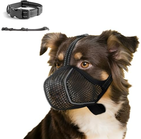 Muselières pour Chiens Anti-Grignotage, Colliers pour Chiens, Muselières Respirantes Réglables pour Animaux de Compagnie,Prévenir l'ingestion Accidentelle,Convient Animaux de Moyenne Taille(M)