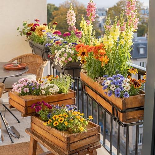 mehrjährige Balkonblumen Mischung, 14 insektenfreundliche Balkon Blumen Arten für Balkonkasten, Hochbeet, Balkon (2 Balkonkästen [4qm])
