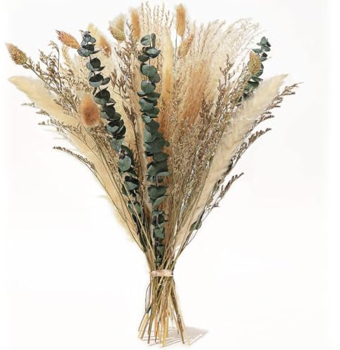 Yeria Herbe de la pampa séchée, décoration de table quotidienne, fleurs séchées, fleurs décoratives de style bohème pour mariages, décoration d'intérieur, fêtes