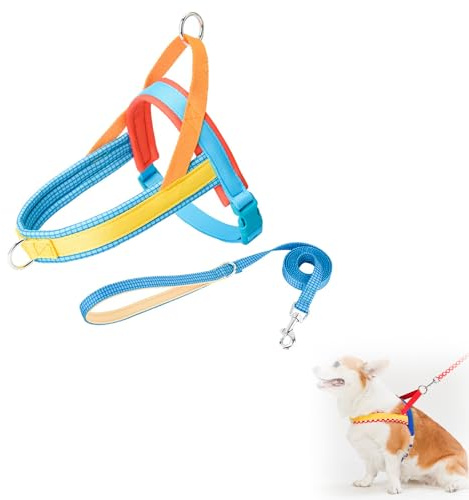 Hundeschlittengeschirr, Hunde Zuggeschirr, Hundegeschirr mit Leine, Sicherheitsgeschirr Hund Ausbruchsicher, Verstellbar, für Kleine Mittelgroße und Große Hunde (L,Blau)