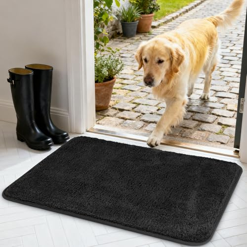 AUAUY Zerbino Trappola Sporco, 40 x 60cm Zerbino Asciugapassi per Interno | Tappeto Assorbi Acqua, Antiscivolo, Lavabile, per Cane, Ingresso, Porta e Corridoio, Casa e Ufficio, Grigio Scuro