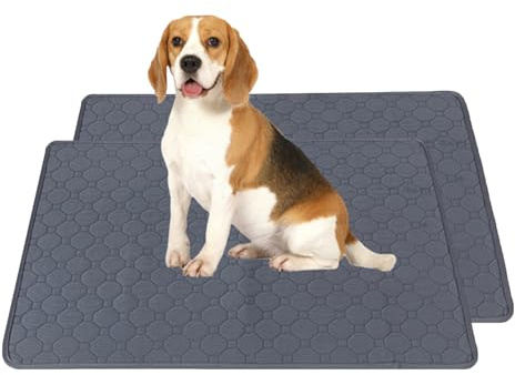 KLVGTIFS 2 Piezas Empapadores Perros Lavables 60 x 45cm, Superabsorbentes Alfombra Perros, Almohadillas de Entrenamiento Reutilizables, Alfombrilla Antideslizante para Cachorros y Animales Pequeños