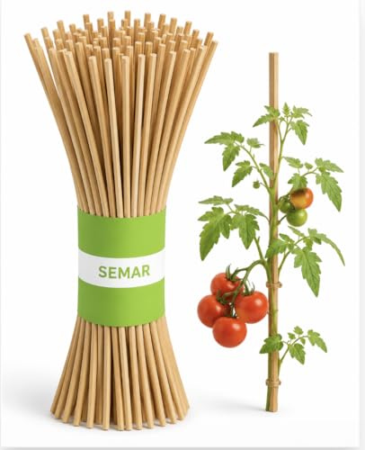SEMAR Confezione da 100 tutori da 30 cm x 0,4 per piante rampicanti, pomodori, cetrioli o fiori - Supporto per piante da interno - in legno (quadrato) / Bastoncini Multiuso