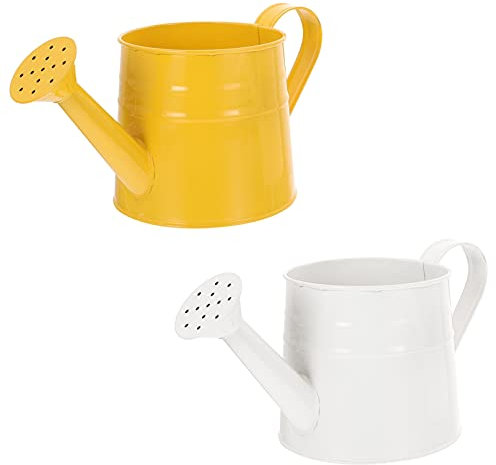 2 Pz Secchio Di Per Annaffiatoio Shabby Chic Signore Delle Piante Vaso Brocca in Metallo Vaso Per Composizioni Floreali Ferro Da Stiro Bambino Zincato Piante Grasse