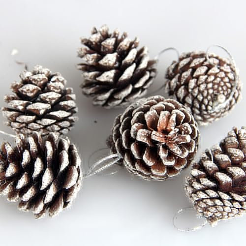 Lot de 24 petites pommes de pin naturelles pour décoration de Noël - 5 cm - Pendentif en forme de pomme de pin blanche