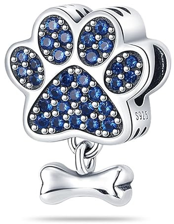 Symretie Pendentif Charm en Argent 925, Compatible avec les Bracelets et Colliers de Style Pandora et Européen. Convient aux Femmes et aux Filles.P2