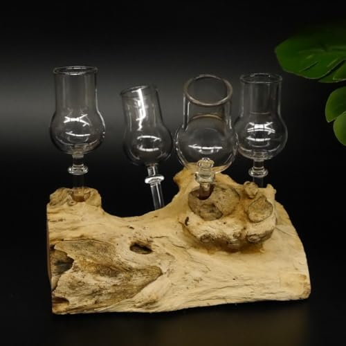 GTK - Geweihe & Trophäen KRUMHOLZ Schnapsanbieter 4 Gläser mit Stil auf Wurzel Steckglas Set Schnaps Geschenk Neu #27.60.1.10