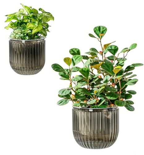 Josteve Self Watering Plant Pots Indoor, 16.5/13.5cm 2 Pack Plastic Flower Pots Orchid Garden Planters Outdoor for Herb, House Plant, African Violets, Visible Water Level Planter w/Drainage Holes