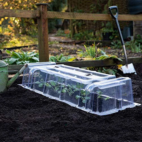 Thompson & Morgan Outdoor Garden Cloche Mini Greenhouse Growing Tunnel Plant Cloches for Vegetables, Protects Young Plants & Crops from Bad Weather & Reduces Pest Damage (6 x Mini Greenhouse Cloche)