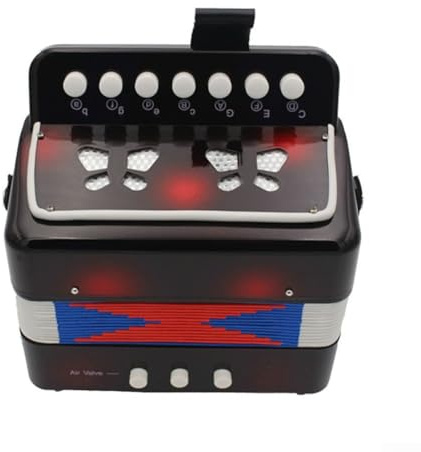 Tragbares 7 Tasten 2 Bass Akkordeon für Anfänger und Kinder, Mini Keyboard Folk Instrument mit ABS Material, Schwarz