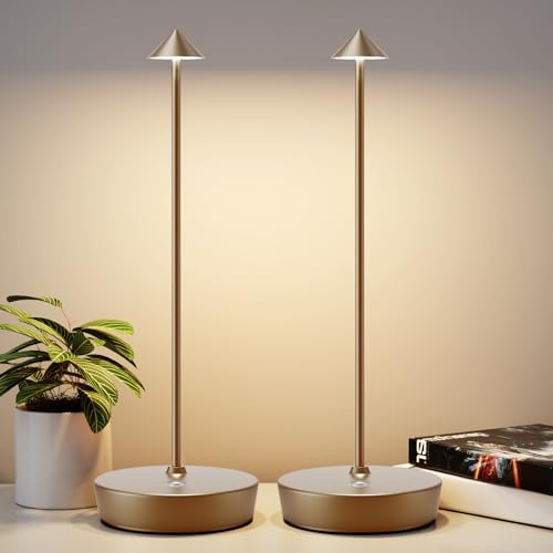 YIBEN 2Pack Rechargeable Cordless Table Lamp, Portable Powered LED Battery 6000mAh Metal USB Desk Lamp, 3 Levels Brightness Light for Restaurants Outdoor (2pack Titanium)