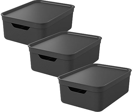 Rotho Jive 3er-Set Aufbewahrungsbox 10l mit Deckel, Kunststoff, anthrazit