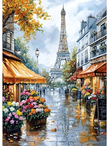 QENSPE 5D Diamond Painting Parigi, Kit per Diamond Painting Adulti, Fiorista Pittura Diamante Fai da Te Painting Kit Completo, Decorazione per Casa e Pareti 30x40cm