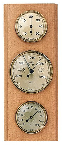 Möller-Therm Wetterstation, 270 x 110 mm, Natur