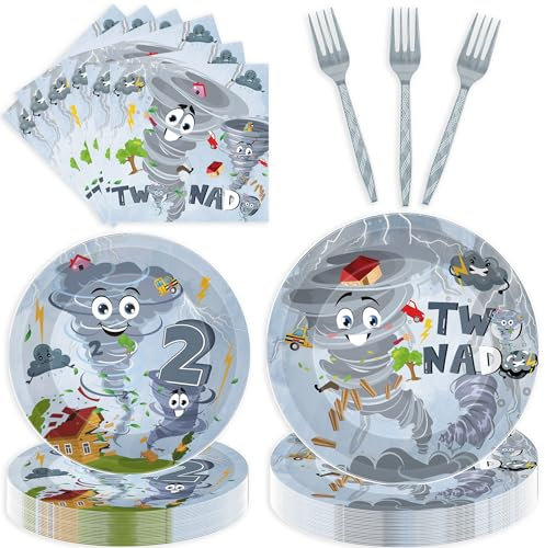 96 Pcs Tornado Birthday Party Decorations Boy, Grey Cartoon Tornado 2nd Birthday Plates Napkins Forks for 24 Guests, Weather Storm Themed Tableware Party Supplies Set