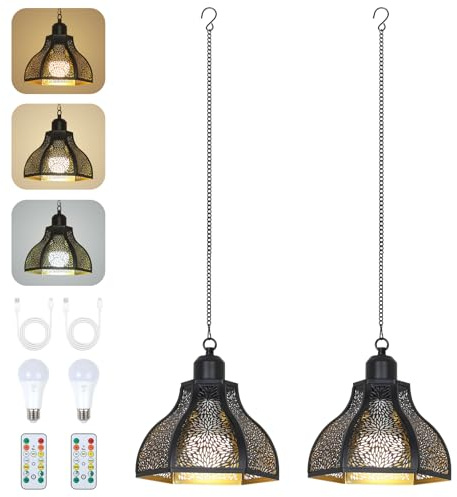 Rayofly 2 Pack Rechargeable Hanging Light Outdoor, Battery Operated Outdoor Lights with Remote Control, Dimmable Black Pendant Light Fitting, USB Battery Powered Hanging Lamp for Balcony, Garden Patio
