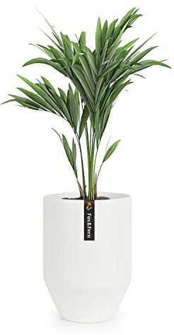 Fox & Fern Lång 25 cm planterare – passar perfekt i varje 25 cm växtstativ – handgjord av polysten – matt vit – inomhus och utomhus
