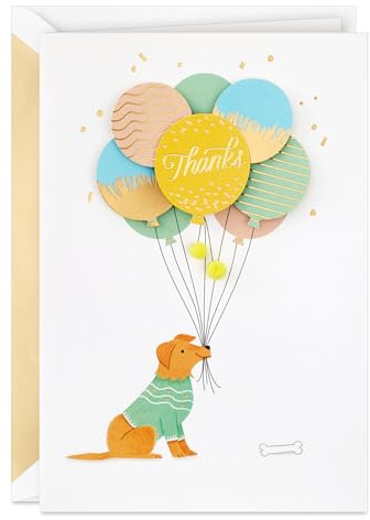 Hallmark Signature Thank You Card (Dog with Balloons) for Nurses Day, Admin Professional Day, Teacher Appreciation and More