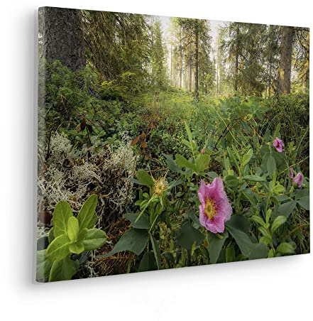 Komar Keilrahmenbild im Echtholzrahmen - Charming Woods - Größe 60 x 40 cm - Bild, Leinwandbild, Landschaftsmotiv, Wohnzimmer, Schlafzimmer