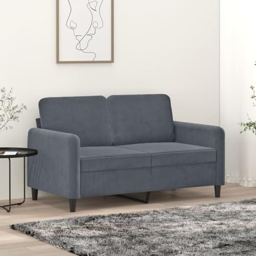 Brokky 2-Sitzer-Sofa Couch 2 Sitzer Loveseat Sofas FüR Wohnzimmer Sofa Loveseats Dunkelgrau 120 cm Samt - 359433