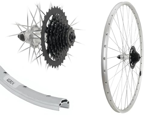 Aggro-X 28 Zoll Hinterrad 19-622 Felgenbremse | Laufrad silber, Hohlkammer, 8 Fach Zahnkranz Kassette, 24 Gang
