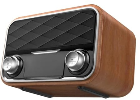 NUOBESTY Enceinte sans Fil Bois Enceinte Portable à Double Pavillon Caisson De Basses Compact