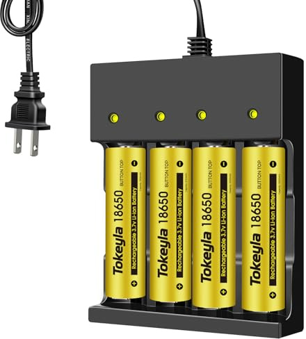 4pcs Rechargeable Battery Charger Set 4 Bay Universal Charger for Flashlights, Camera, Small Fan(4Button Type+Charger)