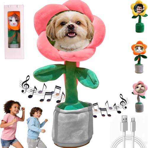Girasole Personalizzato che Canta e Danza Fiore– Giocattolo Interattivo Ricaricabile con Custodia Regalo, Aggiungi Foto/Testo, Regalo Perfetto per Compleanni e Feste，Ripete ciò che Dici, (Pink)