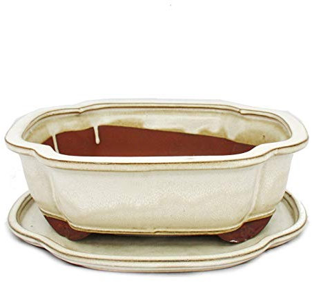 exotenherz Bonsai-Schale mit Unterteller Gr. 4 Hellbeige haitang/oval Modell I4 L 26cm B 20,5cm H 8,5cm