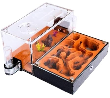 MOBAAK Ameisenfarm Ameisen Farm Ameisenfarm Ameisenhaus Untersuchung des Ameisenverhaltens Ameisennest Ameisenterrarium Pädagogisches Formicarium Für Ameisen Ameisenfarm Erwachsener