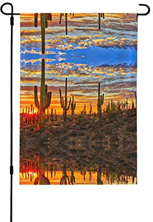 Drapeaux de jardin de Noël en forme de cactus dans le désert 31,8 x 45,7 cm pour l'extérieur, drapeaux double face, pour toutes les saisons et les vacances