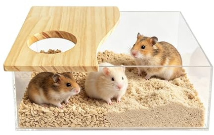 Sandbad för Hamster Akryl Trä Badrum | Hamster Dammbad för Gerbil Toalett Låda Putsning Bad Lek Utforskning Sömn