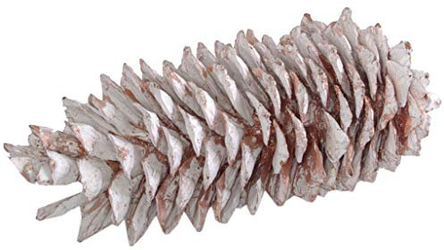 Tannenzapfen - Riesentannenzapfen - Kiefernzapfen - Pinienzapfen - Herbstdeko - Weihnachstsdekoration - Metallic Weiss/Kupfer - ca. 28 cm groß - 1VE = 1 Stück - 29888