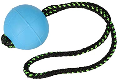 Dingo Ball BIBI Trainingsball # 7 cm mit Griff 30 cm Farbe Blau | Schwimmend, Kautschuk Gummi, Apport, Spiel mit Hund 17253