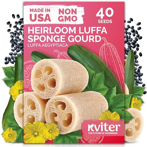 KVITER 40 Luffa Seeds (Luffa Aegyptiaca) – Loofa, Loofah Sponge Gourd Heirloom Seeds, Ideal Non GMO & Organic Natural Sponge – Loofah Seed for Planting from USA to Grow in Your Home Vegetable Garden