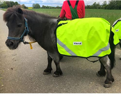 Fahrdecke für Pferde, Shetty, Pony | Abschwitzdecke Reflex | Fahrsport Pferde | Kutschenzubehör | Regen & Winddicht (Warmblut (Full))