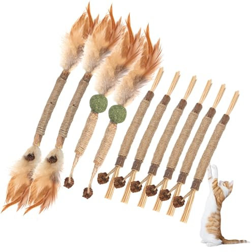 XCRPRT Katzenminze Sticks, Kausticks für Katzen 10 Stück, Kaustangen Katze für Katzen Zahnpflege & Gegen Mundgeruch Natürlich Sicher Katzens Kaustangen