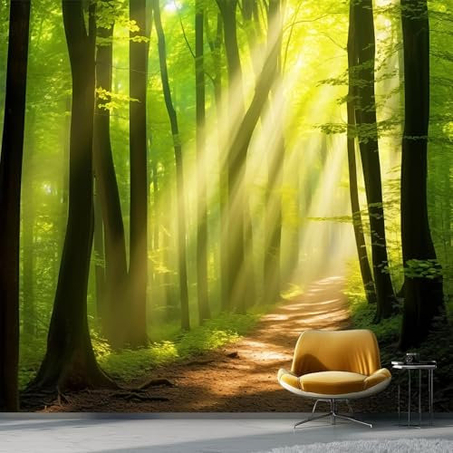 Carta Da Parati Fotografica Naturale Paesaggio Sole Giungla, 350 x 256 cm Decorazioni Carta per Pareti Soggiorno Camera Da Letto Sala Fotomurali In Tessuto Non Tessuto Verde